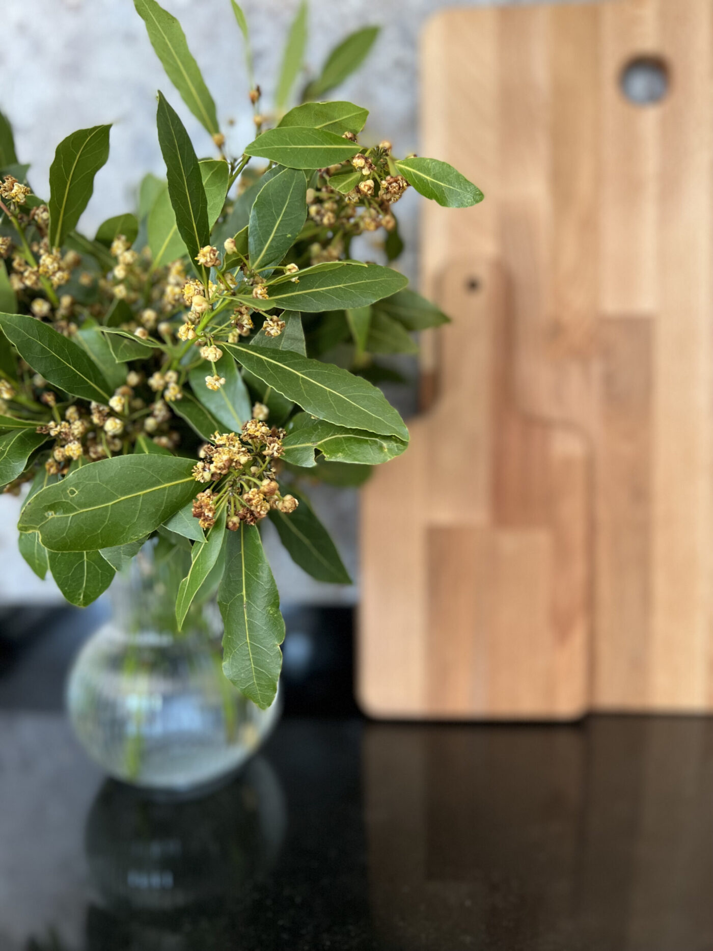 belen rial - interiorismo